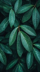 Fototapeta premium Vibrant green leaves glisten with raindrops, highlighting the fresh and tranquil atmosphere of a lush woodland after a rainstorm