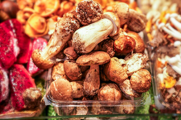 A fresh collection of porcini mushrooms, earthy and robust, displayed among other gourmet mushrooms, perfect for culinary uses in sophisticated and flavorful dishes.
