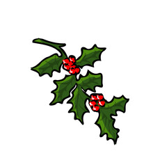 holly, christmas, leaf, berry, decoration, berries, plant, green, xmas, holiday, leaves, nature, red, celebration, winter, branch, sprig, season, isolated, mistletoe, tree, december, ilex, illustratio