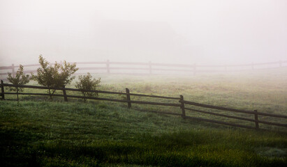photo with beautiful spring landscape in the Carpathian mountains of Ukraine.