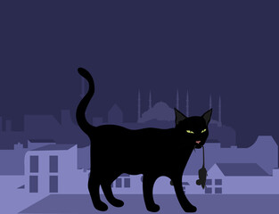 beautiful black cat on the background of Istanbul and mosque
