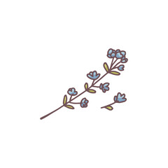 Vector illustration with lavender branch on isolated background.