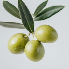 Obraz premium close-up of three green olives on a branch with leaves
