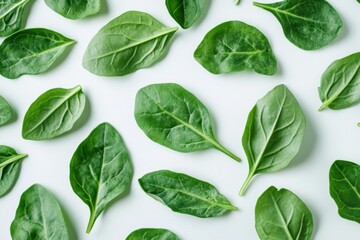Fresh green spinach leaves on white background