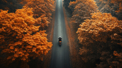 riding a motor during fall in the forest during mid-day with a birds eye view 