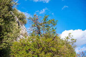 Old Karain cave, hidden in Mediterranean region. Confirms human habitation since the early Paleolithic age between 150,000 and 200,000 years ago.Yagca, Antalya, Turkey.