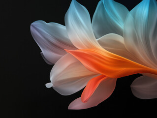  A Stunning Design Against a Bold Black Background, Perfect for Adding Color and Creativity to Any Space.