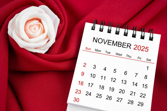 November 2025 desk calendar and pink rose on red textile.