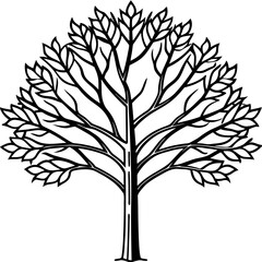 Obraz premium silhouette of tree