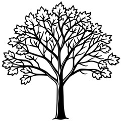 Obraz premium silhouette of tree