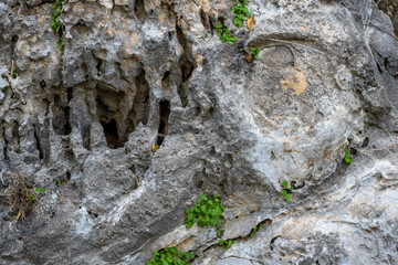 Interior of the large hall of old Karain cave, hidden in Mediterranean region. Confirms human habitation since the early Paleolithic age between 150,000 and 200,000 years ago.Yagca, Antalya, Turkey.