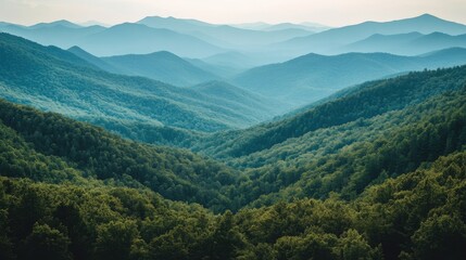 Fototapeta premium mountain range covered in trees fading into the distance