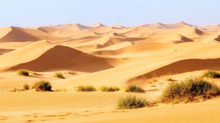 Golden Sands of the Sahara: A Desert Panorama