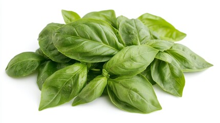 Fototapeta premium Fresh basil leaves ideal for making pesto. These vibrant basil leaves are perfect for enhancing flavor in your pesto recipe, ensuring a delicious and aromatic experience with every bite.