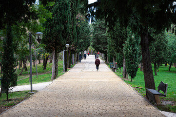 Scenic path through colorful autumn trees in the city park of Tirana, Albania