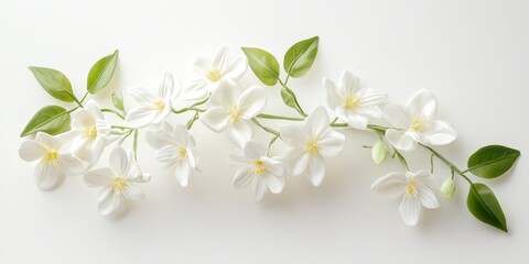 Fototapeta premium Beautiful plastic jasmine blooms elegantly against a white background, showcasing the delicate features of plastic jasmine flowers in a visually appealing composition.