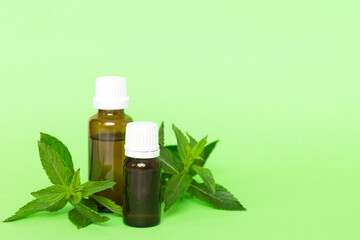 Natural Mint Essential Oil in a Glass Bottle. organic cosmetics with herbal extracts of mint on colored background
