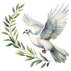 Fototapeta premium White Dove Soaring with Olive Branch Symbol