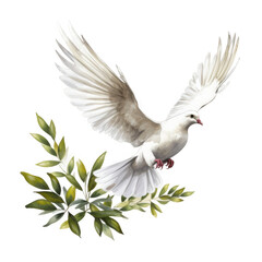 Fototapeta premium A white dove in flight over an olive branch, representing peace and hope.