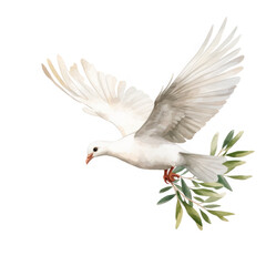 Obraz premium White Dove Soaring High Carrying an Olive Branch