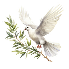 Fototapeta premium White Dove Soaring With Olive Branch Symbol Of Peace