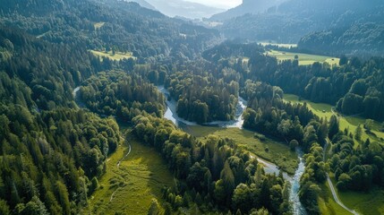 A stunning aerial view of the Swiss National Park, with its dense forests, alpine meadows, and winding rivers