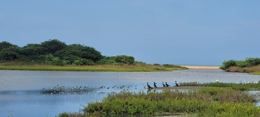 Naturaleza: santuario natural multicolor