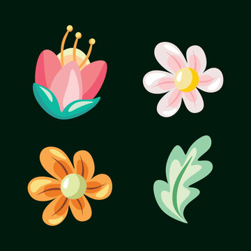 Beauty Bloom FLowers Objects