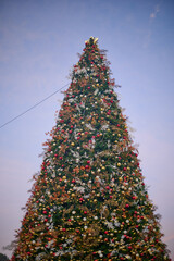 A Christmas tree illuminated with festive lights at the Magical Christmas event in Torrejón de Ardoz, Community of Madrid, Spain, bringing holiday cheer to the celebration