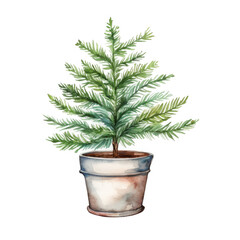 A watercolor painting depicts a small fir tree potted in a light brown planter against a black background.