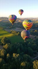 Fototapeta premium Colorful balloons ascending above a lush valley a scenic photography adventure