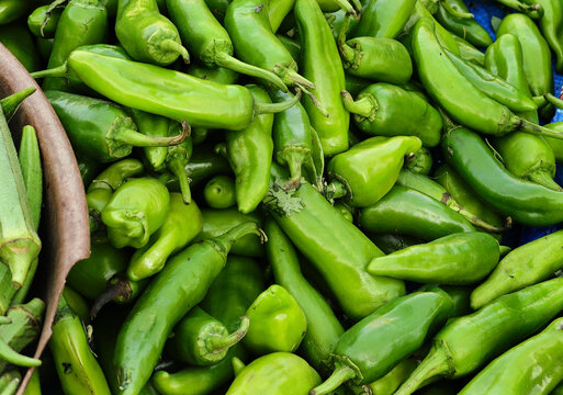 Green chilli chilly pepper vegetable food heap hari mirch, hareemirach, piment vert, frutescens, prasino tsili, Desi Green Mirch (Green Chillies). or spicy grunes chilli, peperoncino verde, capsicum.