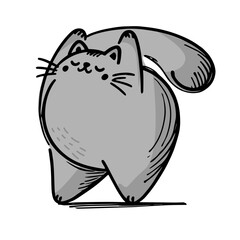fluffy cat