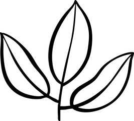 hand drawn illustration of leaves.