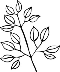 hand drawn illustration of leaves.