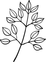 hand drawn illustration of leaves.