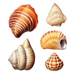 Collection Of Five Unique And Colorful Seashells