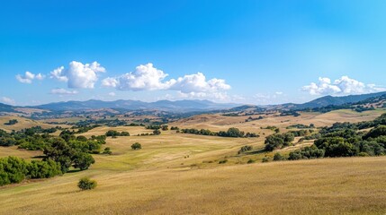 Golden wheat fields rolling hills under a clear blue sky serene nature landscape on a sunny day