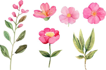 set of pink flowers