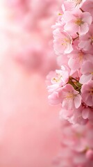 Obraz premium A bunch of pink flowers on a pink background