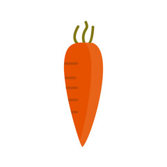 Radish Vector Icon