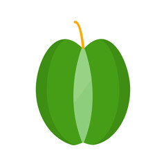 Carambola Vector Icon