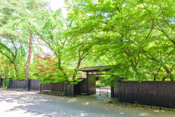 【重伝建】仙北市角館（武家町）　秋田県