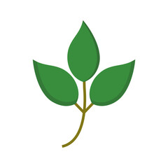 Leaves Vector Icon