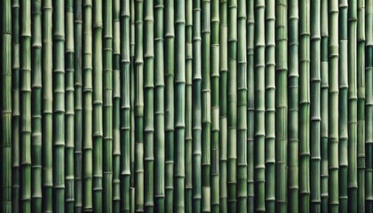 Fototapeta premium Elegant Bamboo Texture: Vertical Green Stalks Background