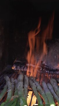 vertical video detailing cal&ccedil;ots burning in the fire and roasting to make a cal&ccedil;otada, a traditional Catalan meal.