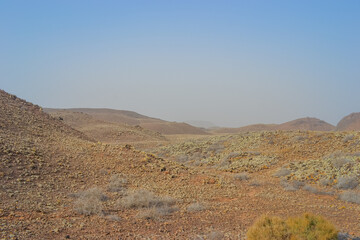 Nature at the foot of volcanoes in the Camino Natural area of ​​Fuerteventura