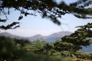 view from the mountain