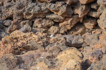 Photo of a chipmunk in the rocks at the foot of a volcano