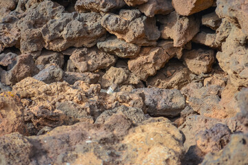 Photo of a chipmunk in the rocks at the foot of a volcano